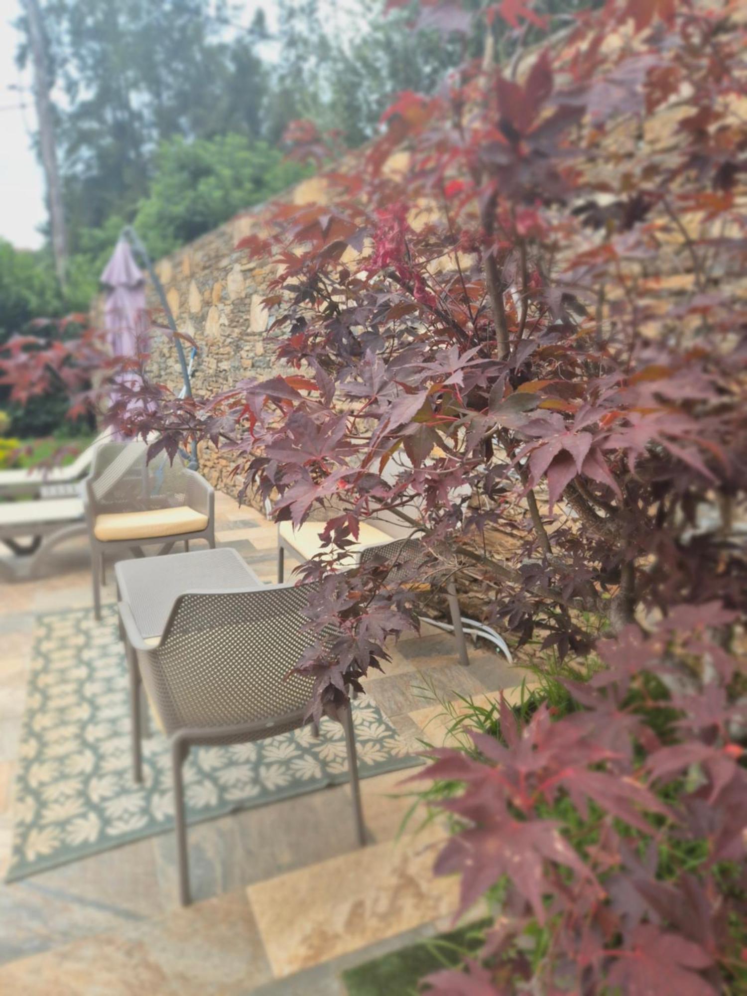 Rez De Villa Avec Piscine Privee, Wifi, Jardin Cloture Penta di Casinca Exterior foto